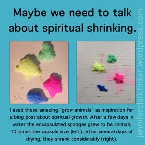 spiritshrink.jpg